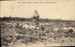 CPA Folklore Dans les Landes Echassier filant en gardant les moutons