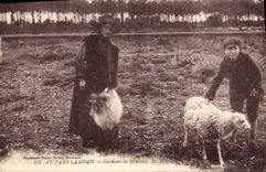 Vintage Postcard Folklore With the Country From the Landes Guards of sheep