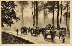 CPA Folklore Effet de brume dans la foret Les Bross Landes 