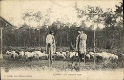 CPA Folklore Landes Un instant de repos Moutons