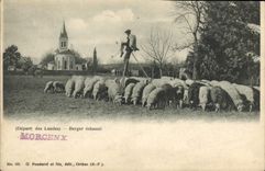 CPA Folklore Landes Berger echassie Moutons