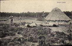 CPA Folklore Bergers landais Moutons