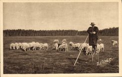 Vintage Postcard Folklore Landscapes from the Landes Shepherd on stilts in high Moor Waders