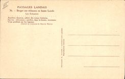 CPA Folklore Paysages landais Berger sur echasses en haute Lande Les Echassiers