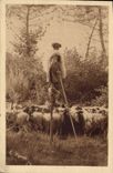 Vintage Postcard Folklore a wader keeping its sheep