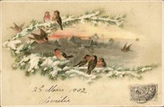 CPA Fantaisie Illustrateur Oiseaux