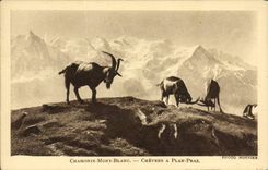 CPA Chamonix Mont blanc Chevres a plan Praz Chevre 
