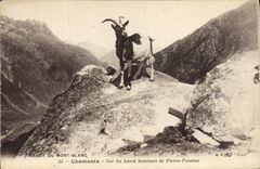 CPA Chamonix Sur les hauts sommets de Pierre Pointue 