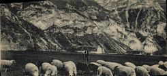 CPA Moutons 