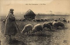 CPA Un patre Moutons Berger 