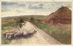 CPA Moutons 