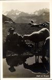 CPA Jdyll am Bergsee Moutons 