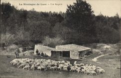 CPA La montagne du Lure Une bergerie Moutons 