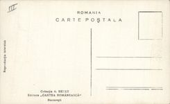 CPA Berger Moutons Roumanie Romania