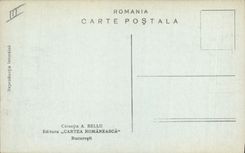 CPA Berger Moutons Roumanie Romania