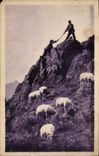 CPA Pyrenees Une escalade en montagne Moutons 
