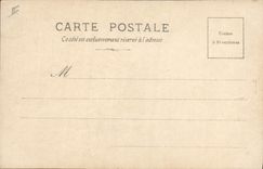 CPA Salon 1901 Brunery Le singe de son eminence 