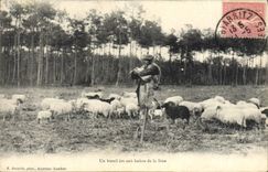 Postal Folclore Pastor en la Landas Ovejas