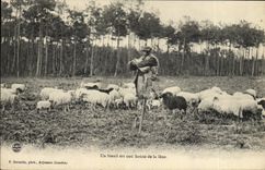 CPA Folklore Berger Landais moutons