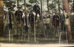 Postal Folclore al País Landais Grupo de corremolinos Ovejas