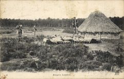 CPA Folklore Berger landais Moutons