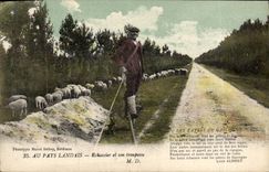 Postal Folclore al País landais a Corremolinos y a su manada Ovejas