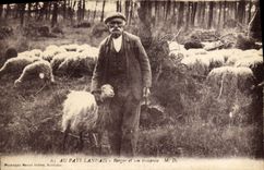 CPA Folklore Au Pays Landais Berger et son troupeau Moutons