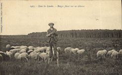 CPA Folklore Dans Les Landes Berger filant sur ses echasses Moutons