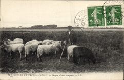 Postal Folclore Landas Pastor y su manada Ovejas