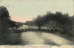 CPA Folklore Echassier landais gardant ses moutons dans les Landes de Gascogne Moutons
