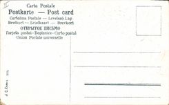 Vintage Postcard Fantasy Flowers Lily of the valley Clover