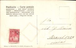 Vintage Postcard Fantasy Woman Flowers