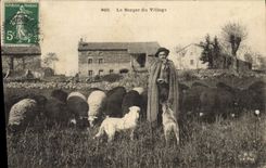 CPA Le berger du village Moutons Chien 