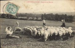 CPA Limousin Bergere et ses moutons 