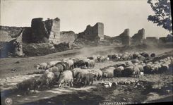 CPA Constantinople Turquie Les murs des 7 tours 