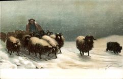CPA Moutons 