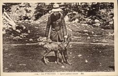CPA Pyrenees Isard capture vivant 