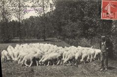 CPA Moutons 