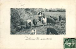 CPA Gardeuse de moutons 