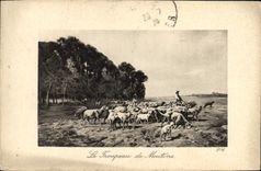 CPA Le troupeau de moutons 