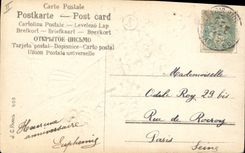 CPA Fantaisie Fleurs Colombe 