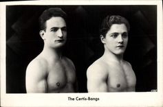 Vintage Postcard The Certis Bangs