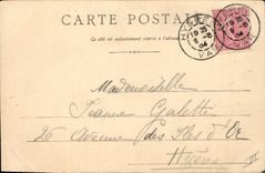 Vintage Postcard Hyeres Palm trees the kiosk of the music