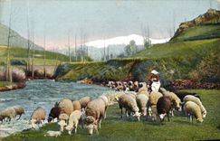 CPA Tableaux Pyrenees Troupeau au paturage 