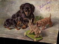 CPA Chien Chiens Basset Lapin
