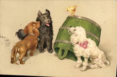CPA Chien Chiens Basset Poussin