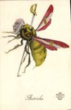 Vintage Postcard Militaria Austria Bourbon Bee