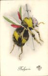 Vintage Postcard Militaria Bulgaria Bulgaria Bourbon Bee