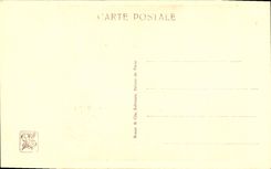 CPA Les jumelles Jumeaux 