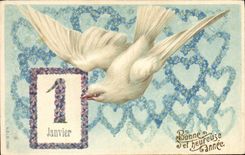 CPA Fantaisie Fleurs Colombe 